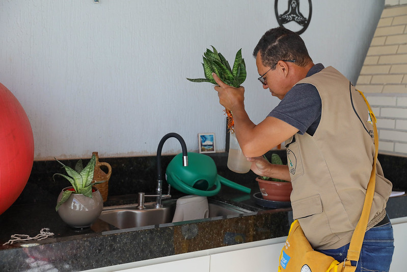 DF registrou redução de 96% nos casos prováveis de dengue em 2025